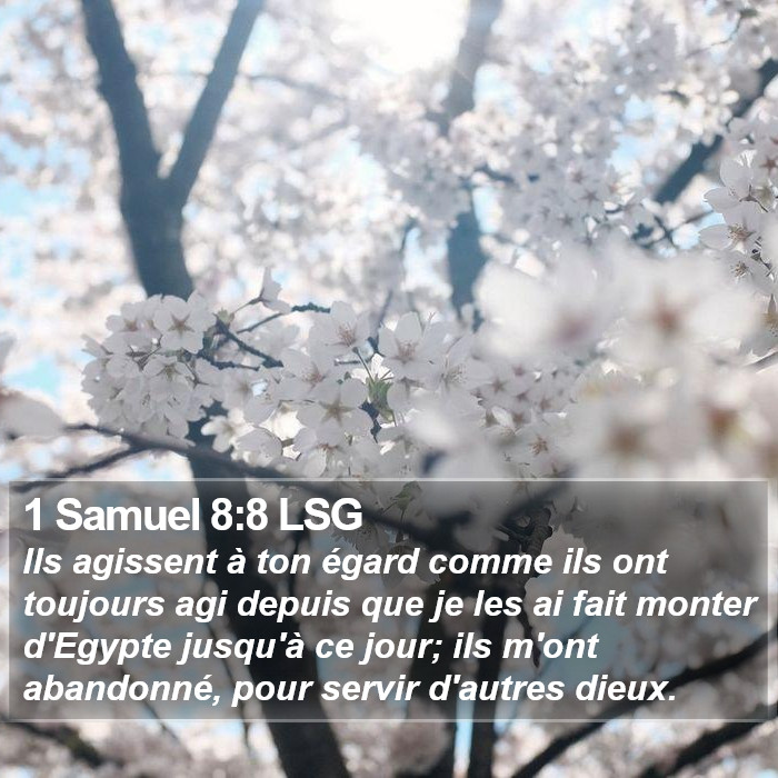 1 Samuel 8:8 LSG Bible Study