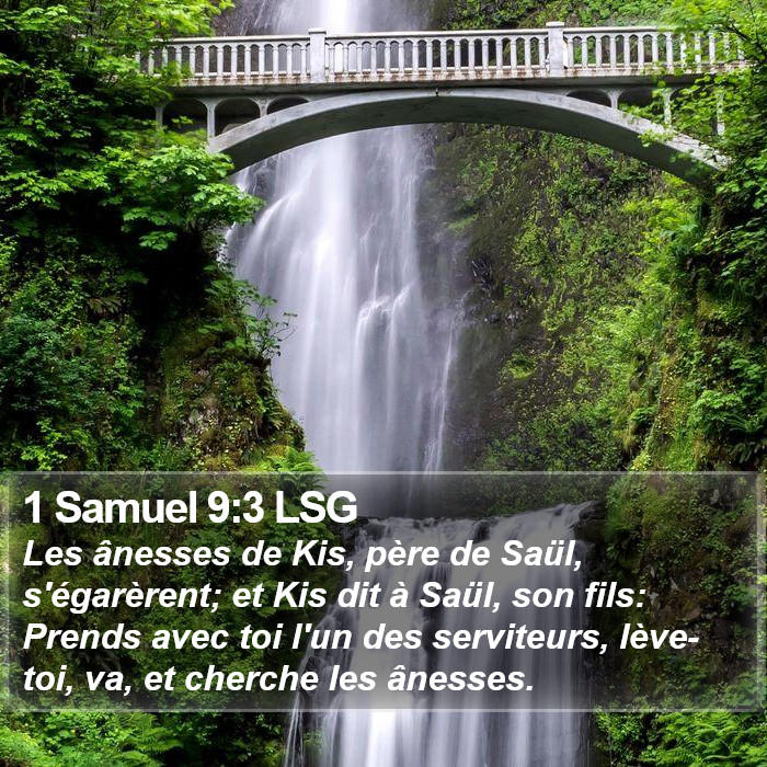 1 Samuel 9:3 LSG Bible Study
