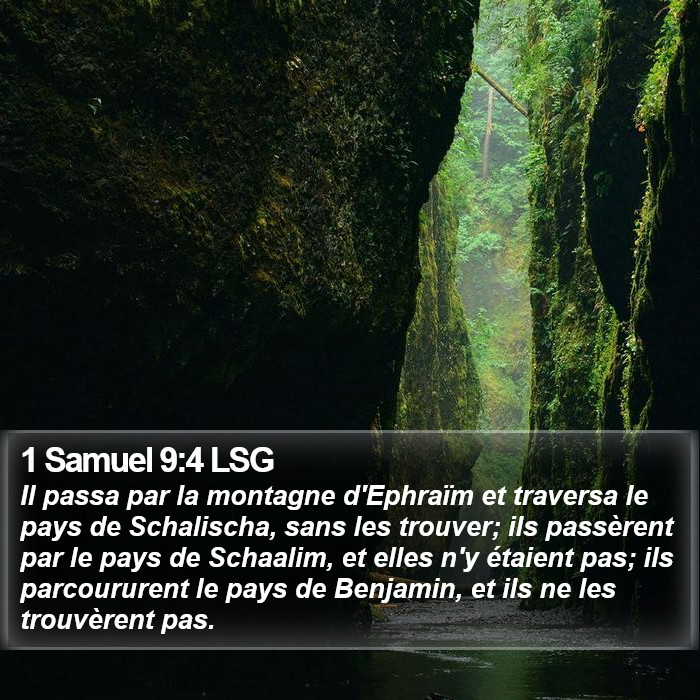 1 Samuel 9:4 LSG Bible Study