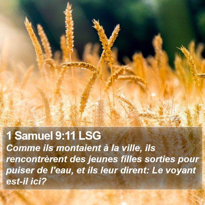 1 Samuel 9:11 LSG Bible Study