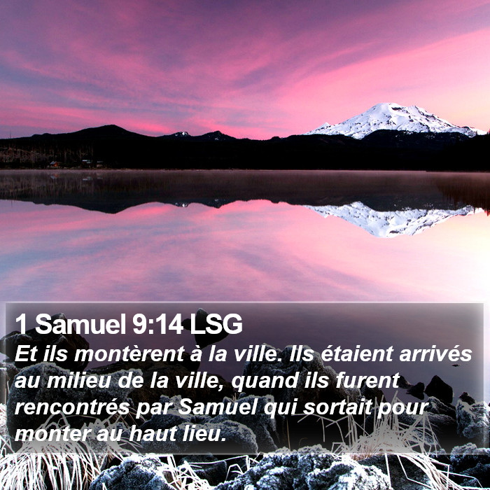 1 Samuel 9:14 LSG Bible Study