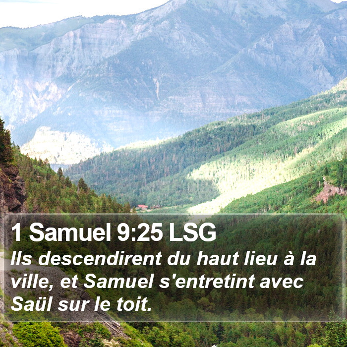 1 Samuel 9:25 LSG Bible Study
