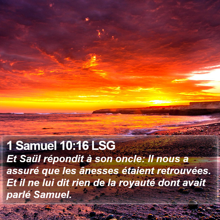 1 Samuel 10:16 LSG Bible Study