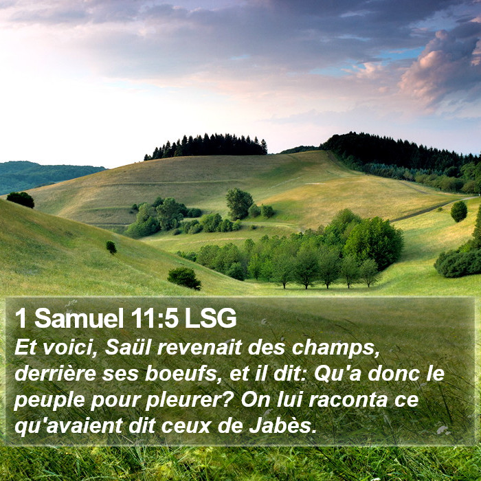 1 Samuel 11:5 LSG Bible Study