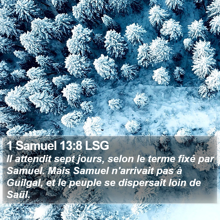 1 Samuel 13:8 LSG Bible Study