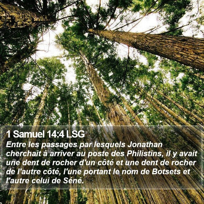 1 Samuel 14:4 LSG Bible Study