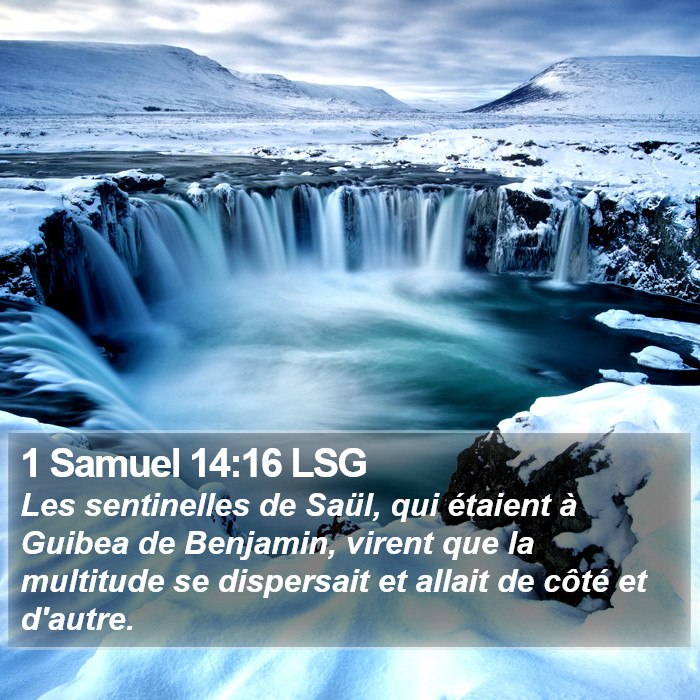1 Samuel 14:16 LSG Bible Study