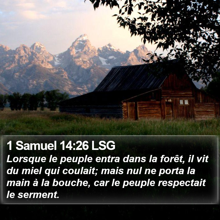 1 Samuel 14:26 LSG Bible Study