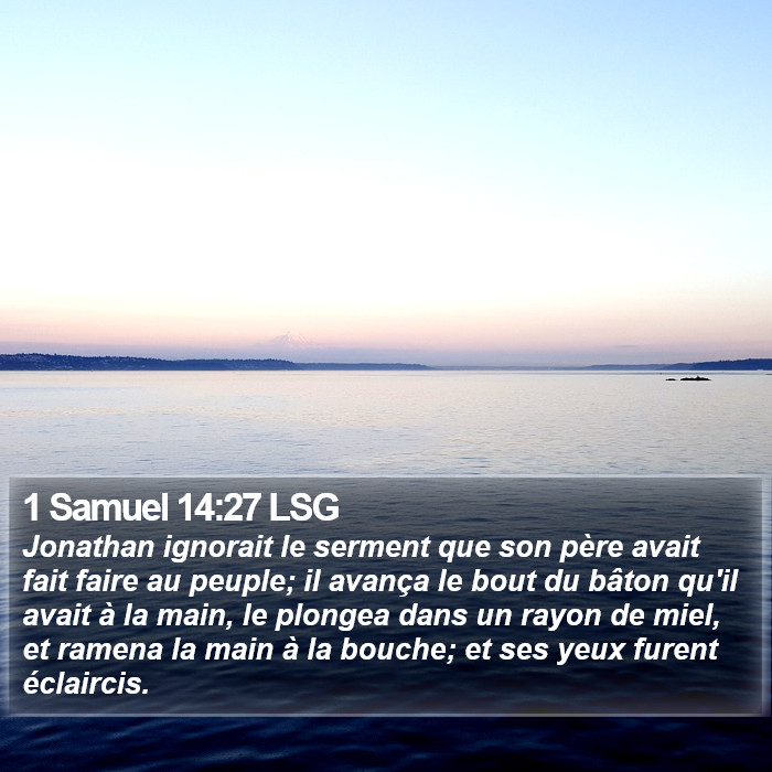 1 Samuel 14:27 LSG Bible Study