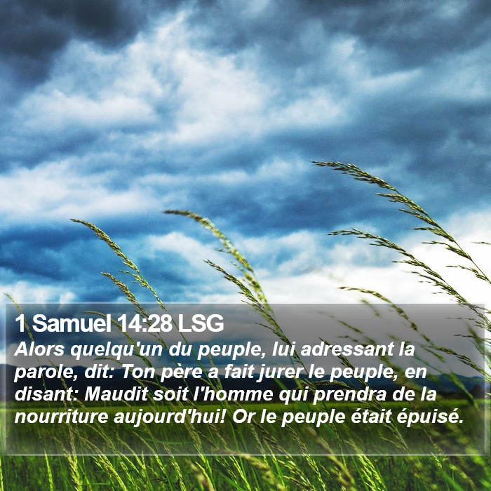1 Samuel 14:28 LSG Bible Study