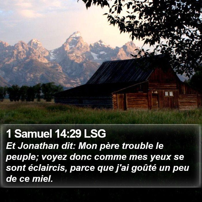 1 Samuel 14:29 LSG Bible Study