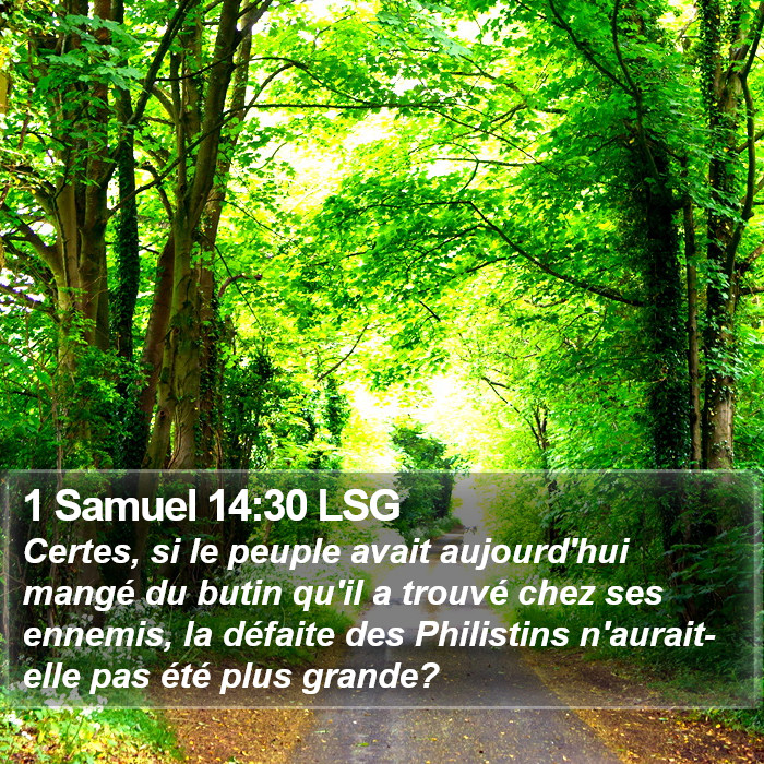 1 Samuel 14:30 LSG Bible Study