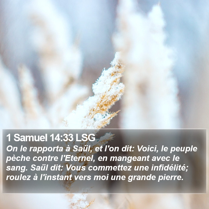 1 Samuel 14:33 LSG Bible Study