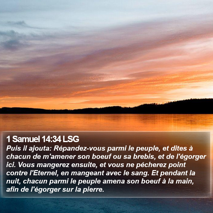 1 Samuel 14:34 LSG Bible Study