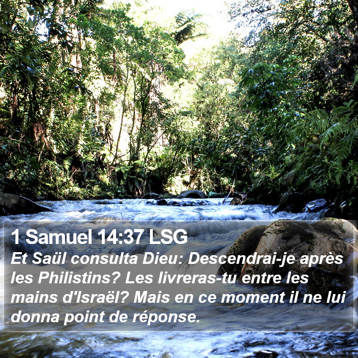 1 Samuel 14:37 LSG Bible Study