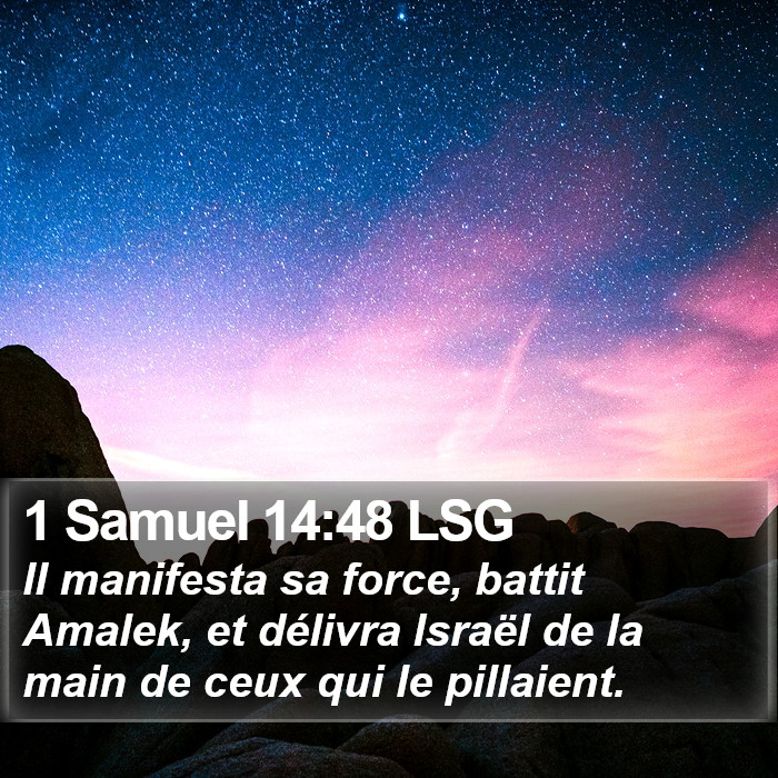 1 Samuel 14:48 LSG Bible Study