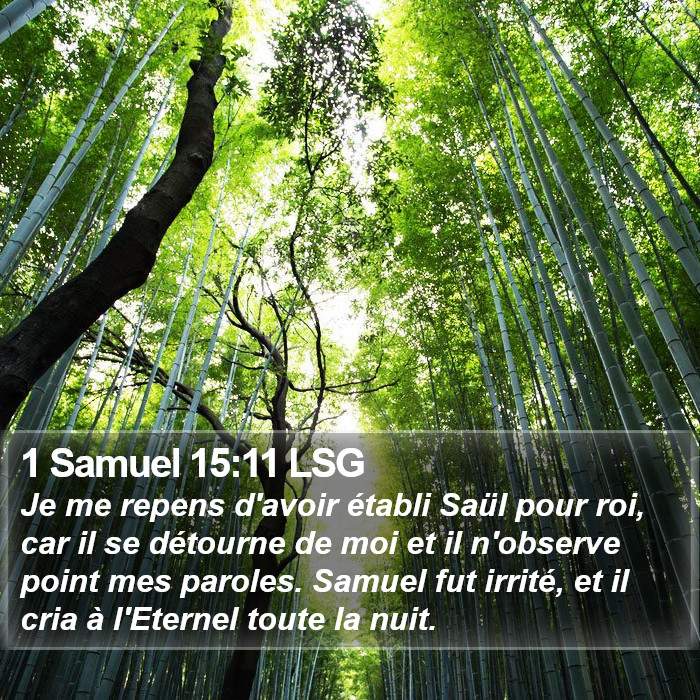 1 Samuel 15:11 LSG Bible Study