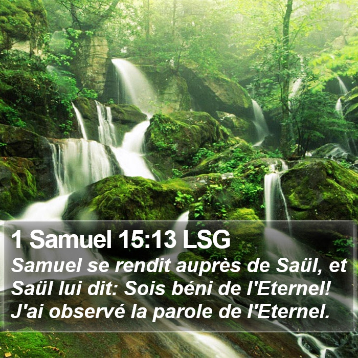 1 Samuel 15:13 LSG Bible Study