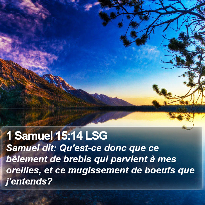 1 Samuel 15:14 LSG Bible Study