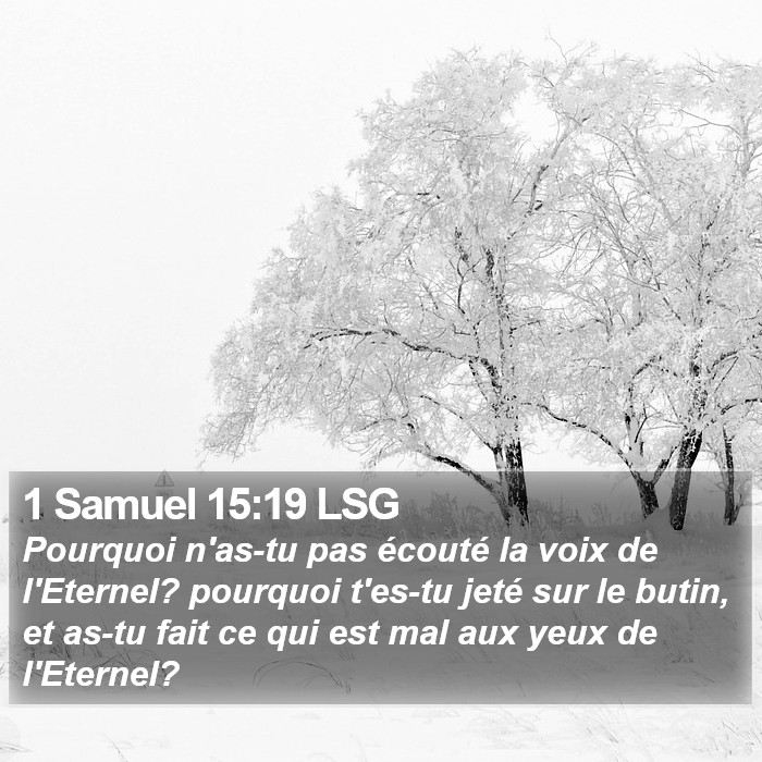 1 Samuel 15:19 LSG Bible Study