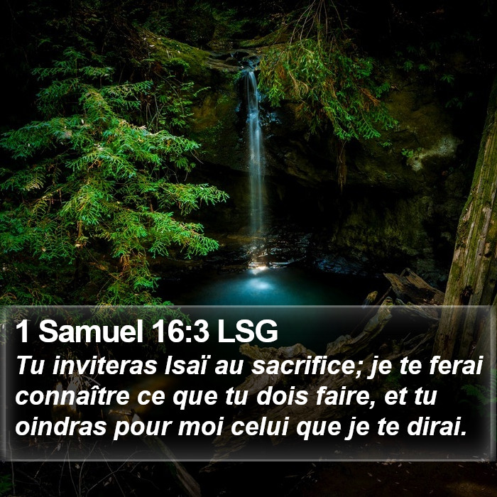 1 Samuel 16:3 LSG Bible Study