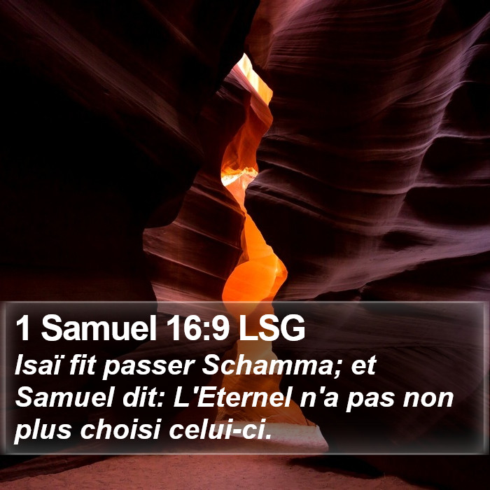 1 Samuel 16:9 LSG Bible Study