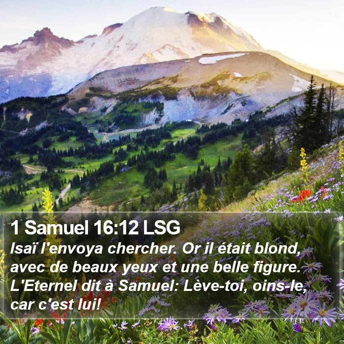 1 Samuel 16:12 LSG Bible Study