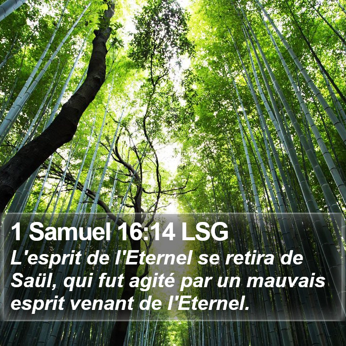 1 Samuel 16:14 LSG Bible Study