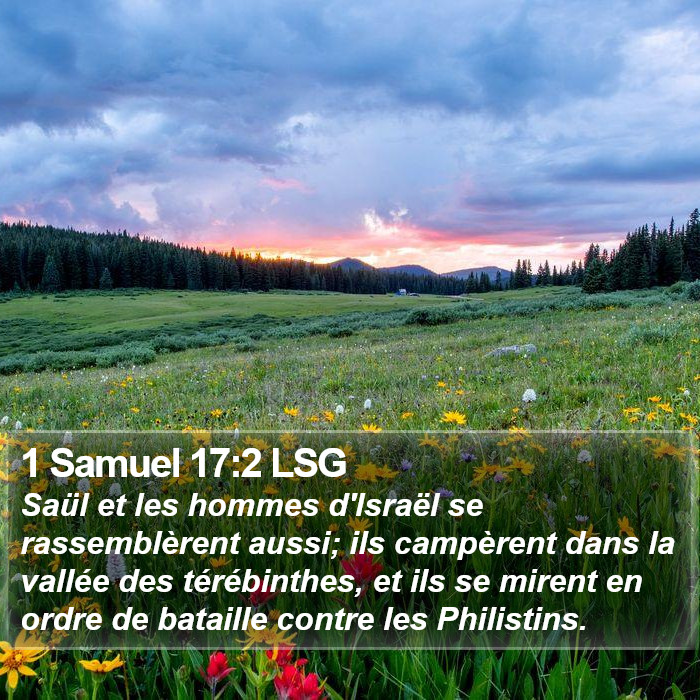 1 Samuel 17:2 LSG Bible Study
