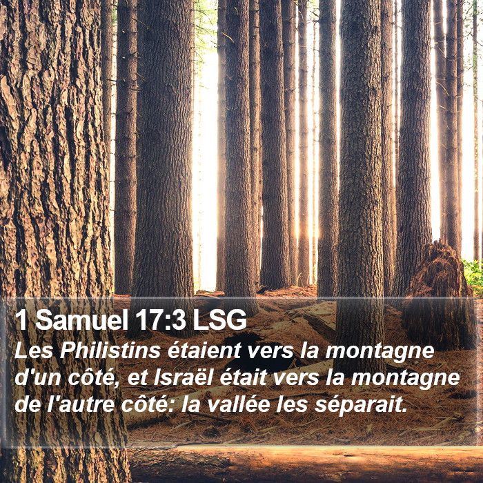 1 Samuel 17:3 LSG Bible Study
