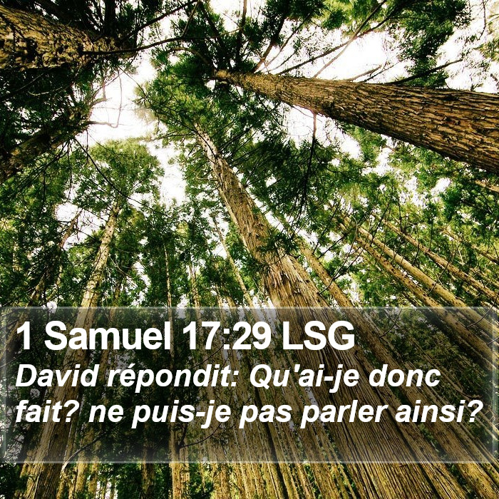 1 Samuel 17:29 LSG Bible Study
