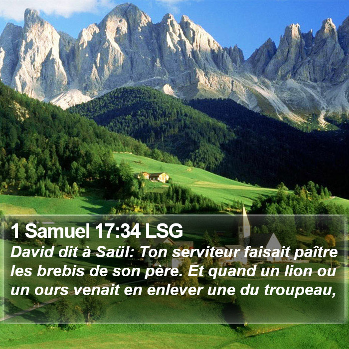 1 Samuel 17:34 LSG Bible Study