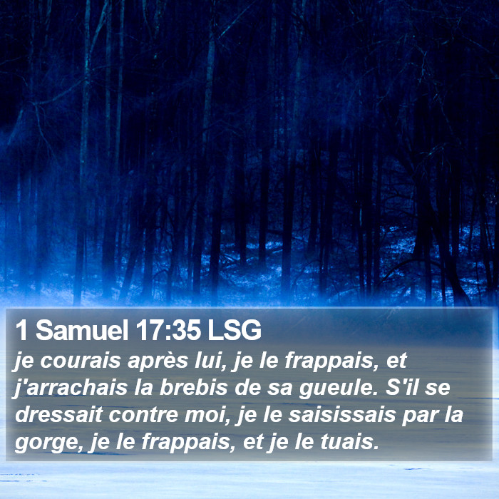 1 Samuel 17:35 LSG Bible Study