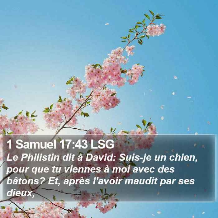 1 Samuel 17:43 LSG Bible Study