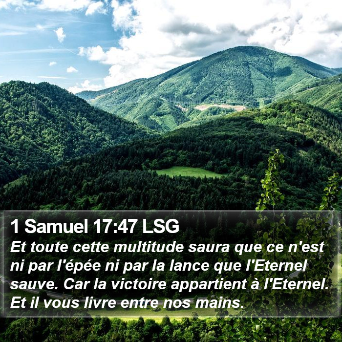 1 Samuel 17:47 LSG Bible Study