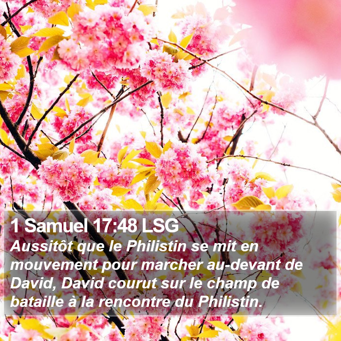 1 Samuel 17:48 LSG Bible Study