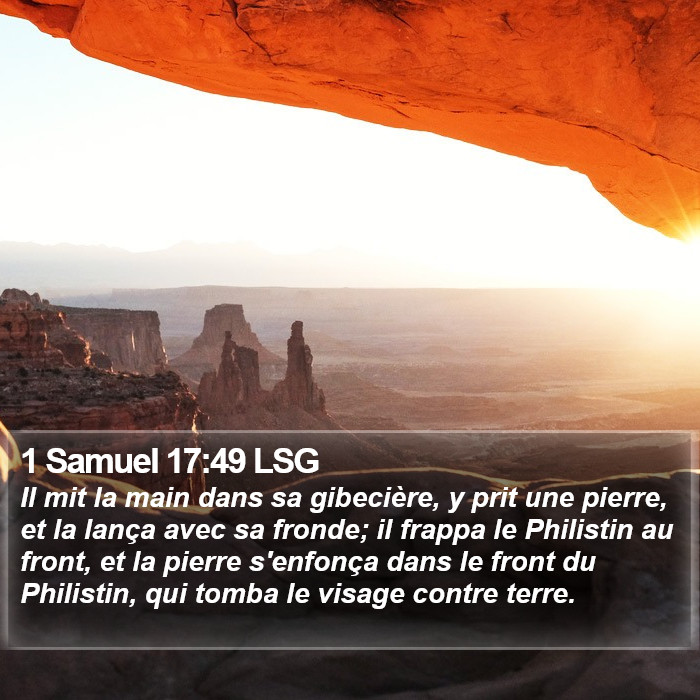 1 Samuel 17:49 LSG Bible Study