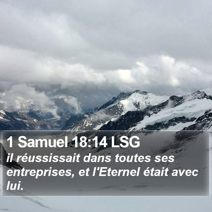 1 Samuel 18:14 LSG Bible Study