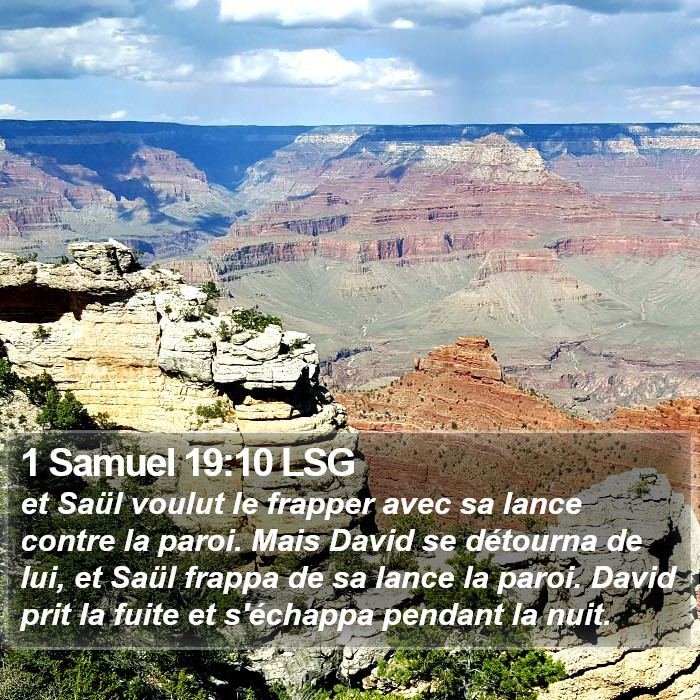 1 Samuel 19:10 LSG Bible Study