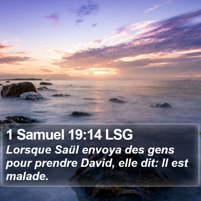 1 Samuel 19:14 LSG Bible Study
