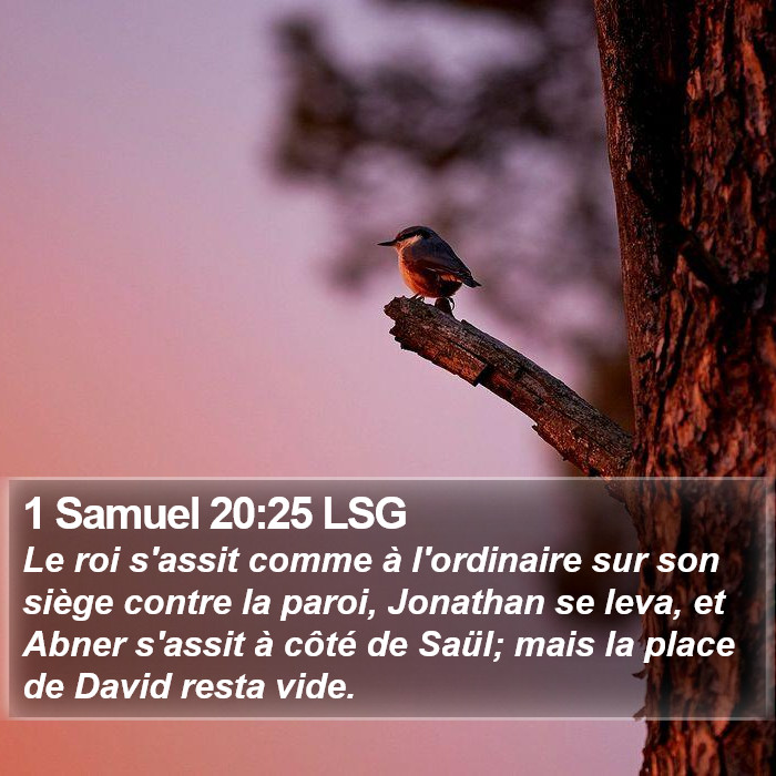 1 Samuel 20:25 LSG Bible Study