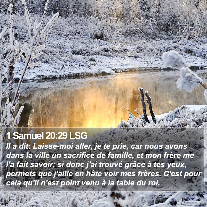 1 Samuel 20:29 LSG Bible Study