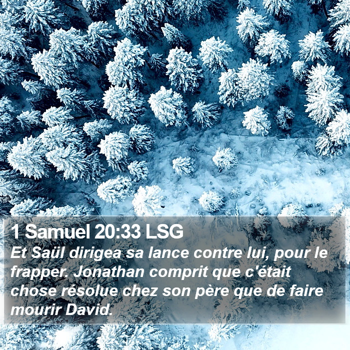 1 Samuel 20:33 LSG Bible Study