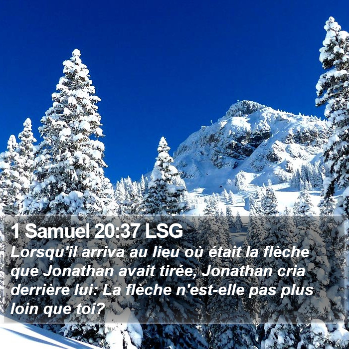 1 Samuel 20:37 LSG Bible Study