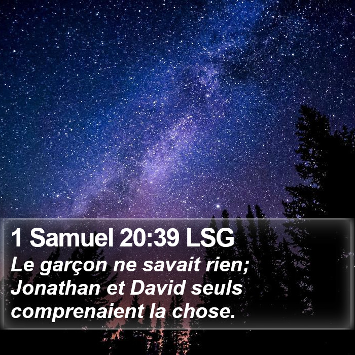 1 Samuel 20:39 LSG Bible Study