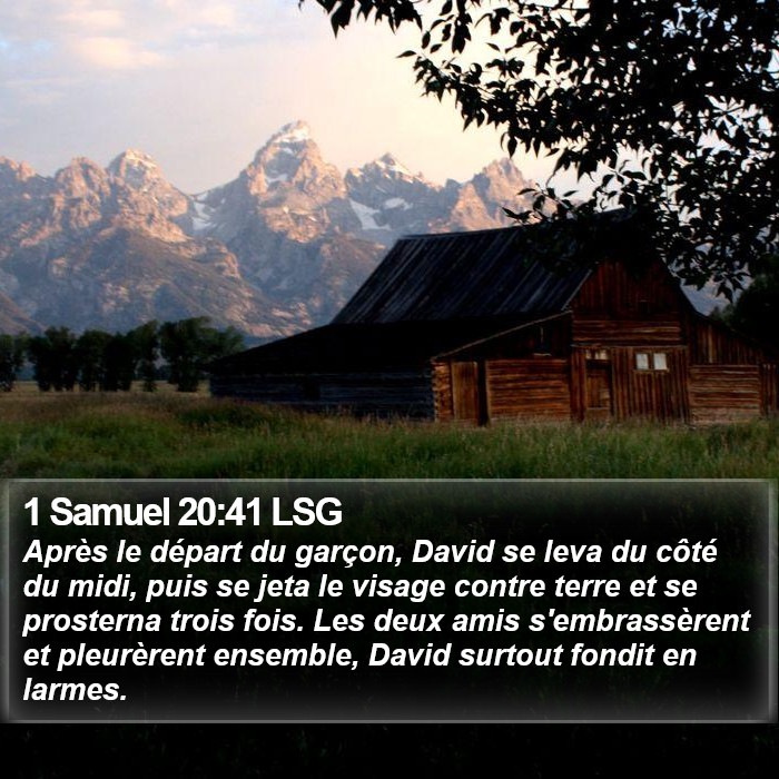 1 Samuel 20:41 LSG Bible Study