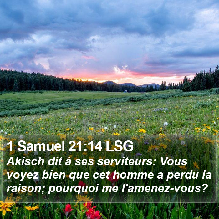 1 Samuel 21:14 LSG Bible Study