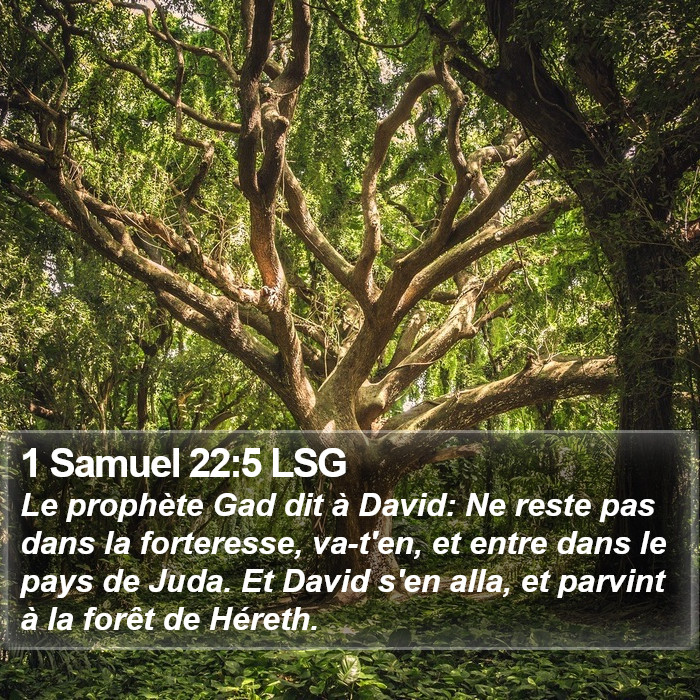 1 Samuel 22:5 LSG Bible Study