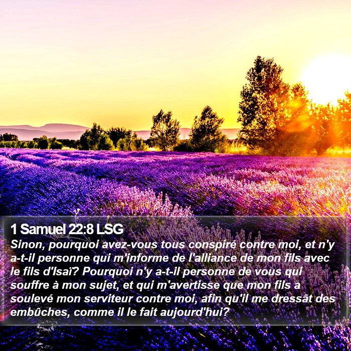 1 Samuel 22:8 LSG Bible Study