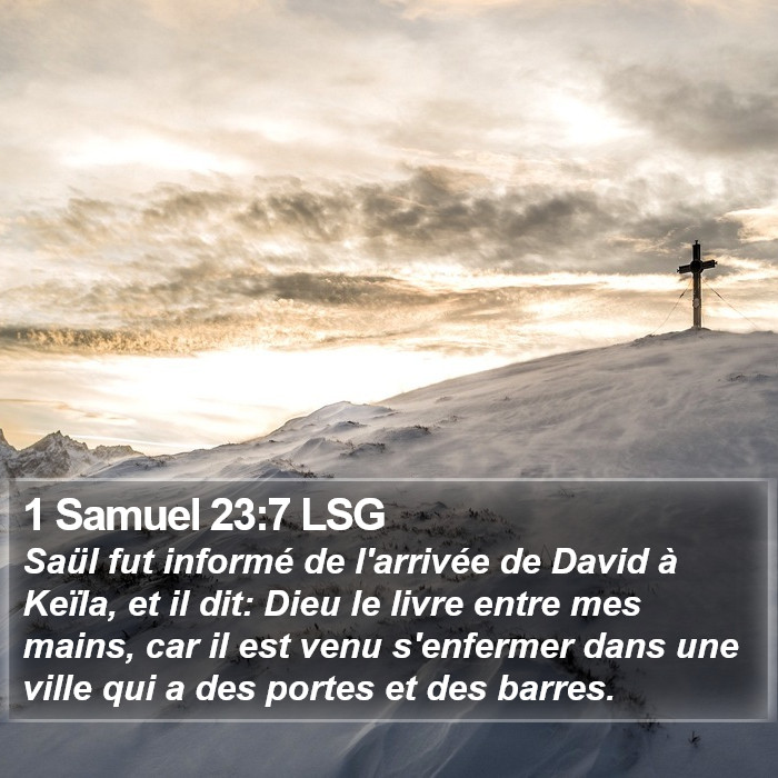 1 Samuel 23:7 LSG Bible Study